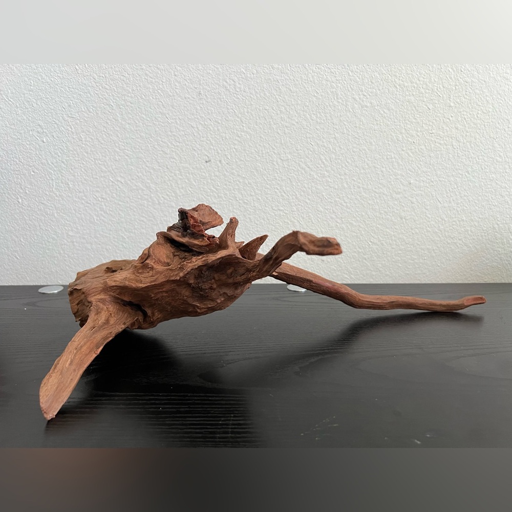 Natural Driftwood Sculpture